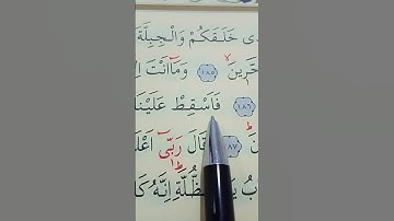 سورة الشعراء الأية 184 إلى 190 القارئ سعد الغامدي