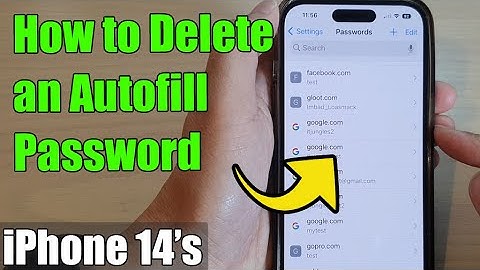 iPhone 14/14 Pro Max: How to Delete an Autofill Password
