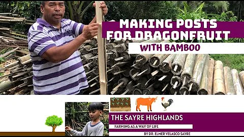 Making Posts for Dragonfruit - The Economical Way