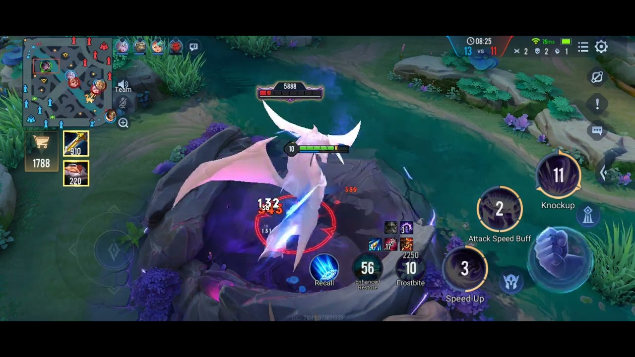 Zanis Gameplay pro builds!!