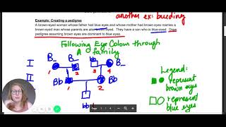 Lesson 8 Patterns of Inheritance pdf   Google Drive