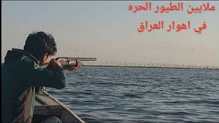 رحلة صيد في اهوار العراق معى جواد المغامر