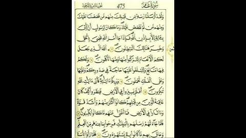 من الآية ٧٨إلي الآية ٨٠من سورة غافر