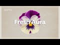 Fresh Aura | Chill House for a Positive Morning Vibe