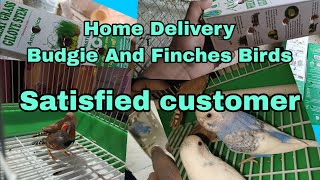 Budgie and Finches birds home delivery 🚚 Satisfied customer 💕