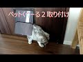 猫ブログ2021年7月①ペットドア付けました。