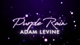 Video thumbnail of "Adam Levine - Purple Rain (Lyrics)"