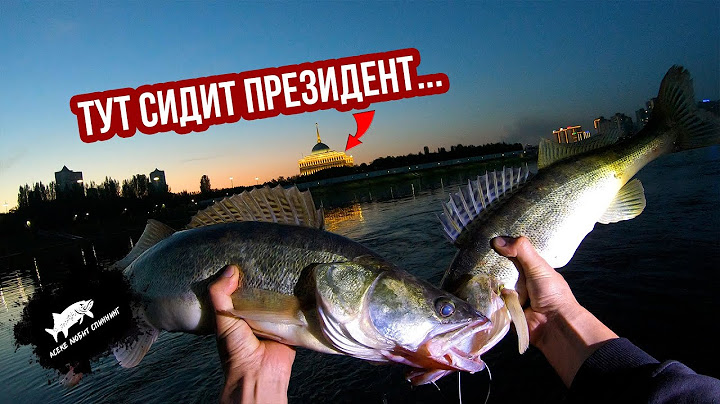 Presidential pike perch or streetfishing in Astana style #fishing #fishing2025 #fishingastana