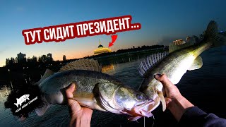 Президентский судак или стритфишинг по Астанински #рыбалка #рыбалка2025 #рыбалкаастана
