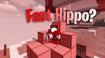 Fast Hippo (Bridge)