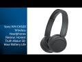 Sony WH-CH520 Wireless Headphones Review: Honest Truth About 50-Hour Battery Life