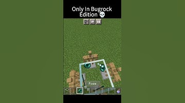 Only In Bugrock #shorts #minecraft #memes