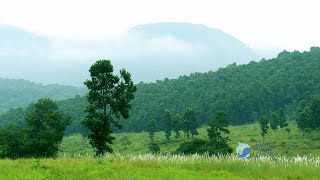 SIMILIPAL Wildlife Sanctuary