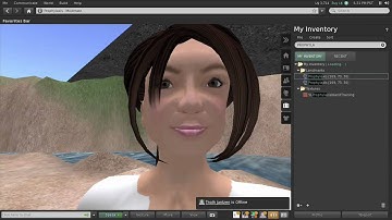 UC Davis MHI214 Health Informatics Class: Lilian