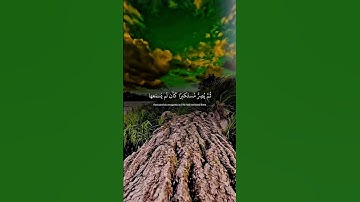 😔 آية تقشعر لها الأبدان | يسمع آيات الله ثم يُعرض عنها 😢 | تلاوة خاشعة ياسر الدوسري