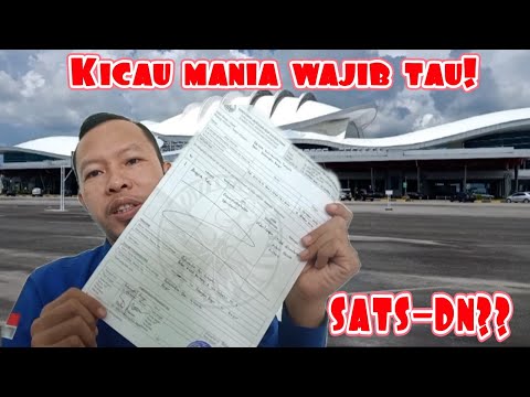 Video: Dokumen Apa Yang Diperlukan Untuk Mengangkut Hewan