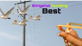 Powerful Shot on Bird 🕊️🕊️ with salingshoot|The perfect  traning short sling screenshot 5