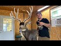Mounting My MULE DEER! Taxidermy Tips And Tricks