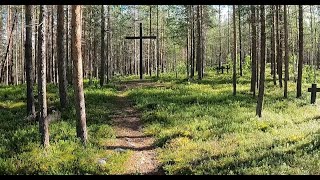видео: Немецкое кладбище под Кандалакшей картинка: Немецкое кладбище под Кандалакшей