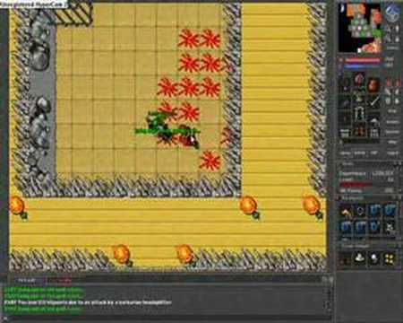 Tibia OTS arena 1