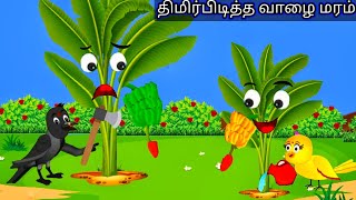 Pround banana tree cartoon story/ birds cartoon in tamil/ best tamil  story