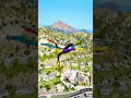 GTA 5 Spiderman Epic Jumps Compilation(GTA V Fails Funny Moments)