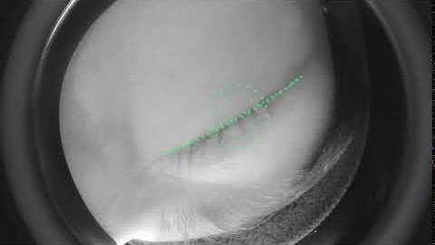 Eye tracking in the HTC Vive Pro