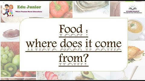 Class 6th Chapter 1st "FOOD" WHERE DOES IT COME FROM