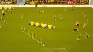 Yeremy Sissy Graf Large Jumping Awc 2018