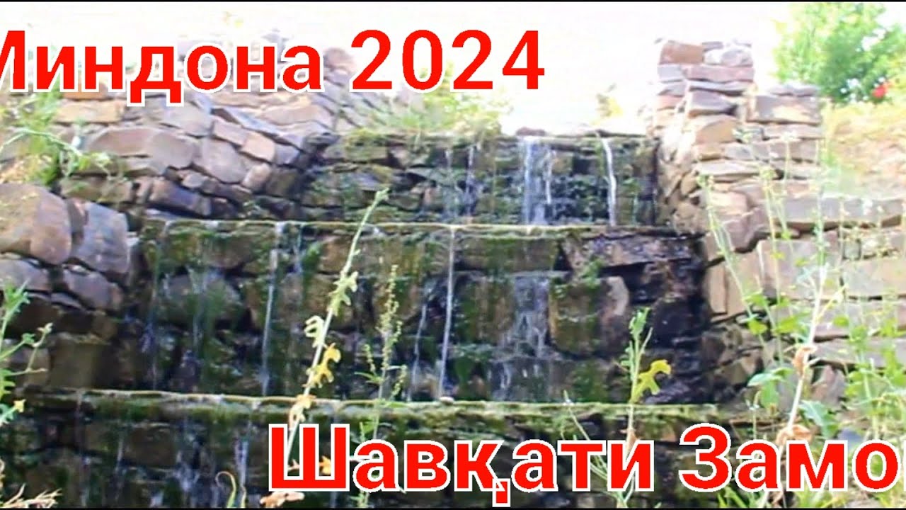 Шавқати Замон,Миндона 2024,Зиндагӣ фасли хазон дораду мо бехабарем