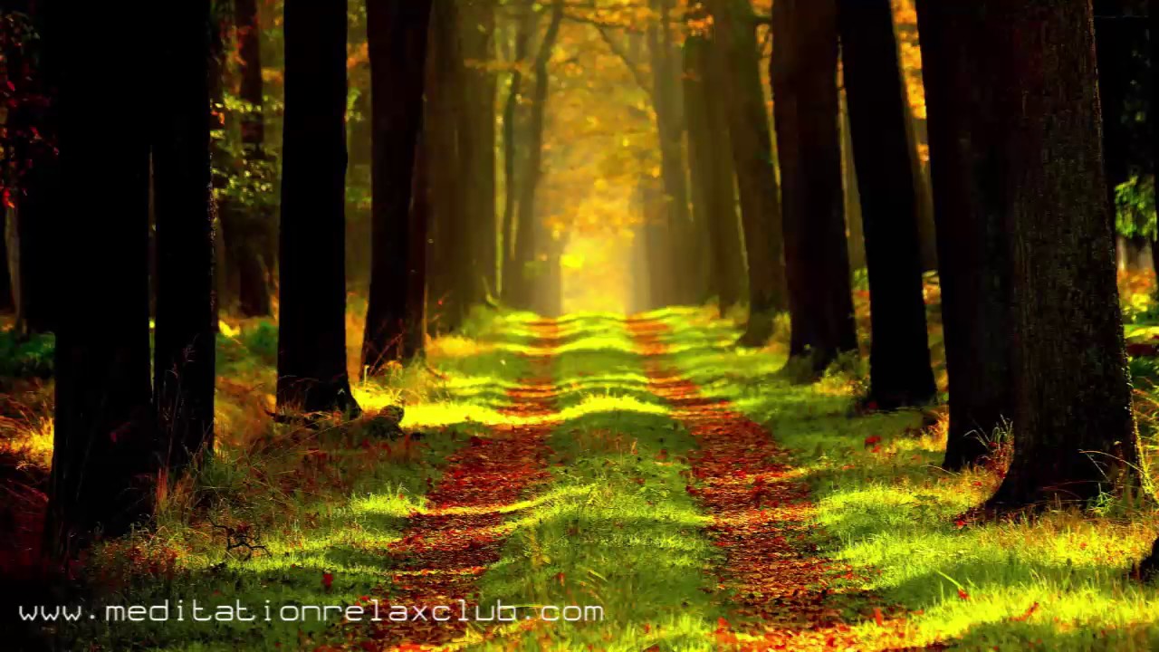 Serenity Vibes: Stress Relief Instrumental Music, Relaxing Spa Songs to Feel Good spa music waterfall