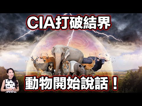 CIA秘密打開結界，驚傳人類可以與動物溝通！甚至還傳出植物竟然擁有讀心術？ | 馬臉姐