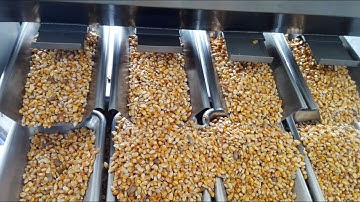 4 Head Linear Weigher and Automatic Filling Machine  of 4 #heads #linear  #weigher