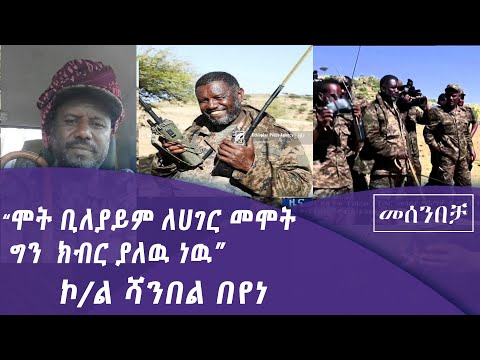 ቪዲዮ: ኮ የት ነው የሚገኘው?