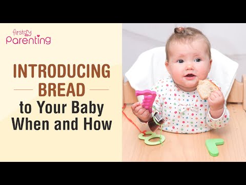 Is Zwieback Toast Safe For Babies