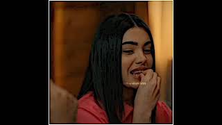 Süsenin Laf Sokması