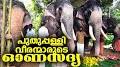 Video for Puthuppally Elephants Official