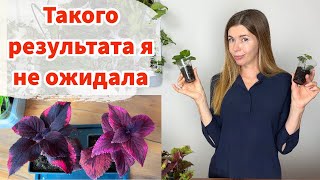 :      ?!    