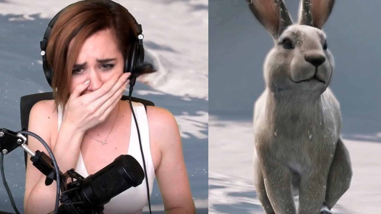 MEME : that's the cutest thing i've ever seen - YouTube