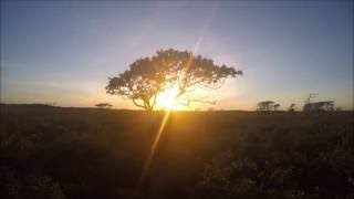 Sunset On The Nantucket 