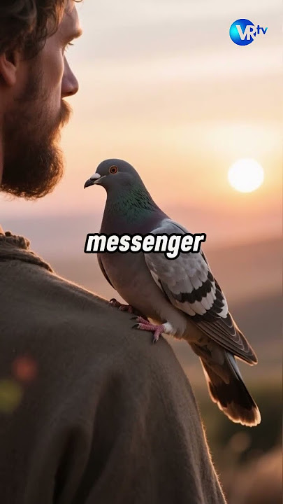 The First Olive Branch of Peace Ever Recorded