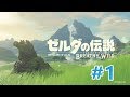 ハイラルを救うにはまず木に登る【ゼルダの伝説 BotW＃１】