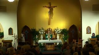 Fifteenth Sunday in Ordinary Time