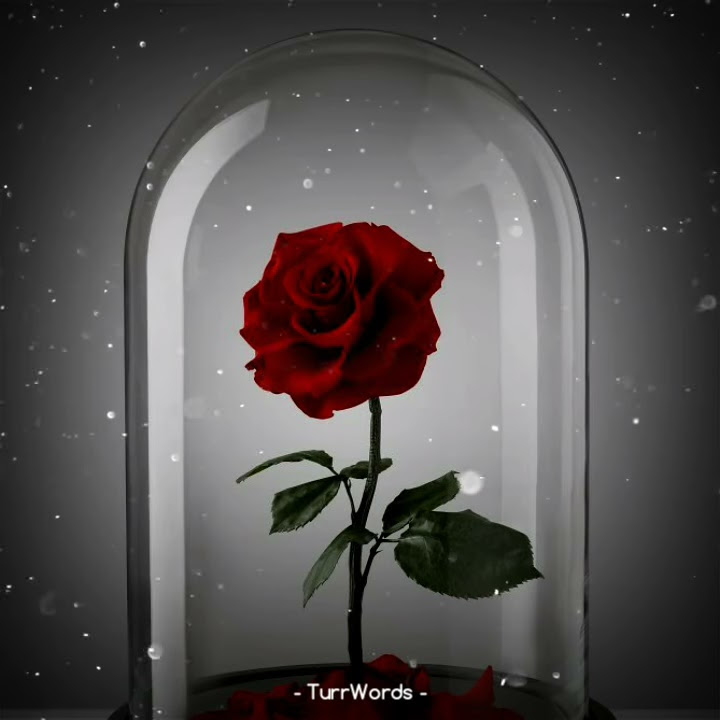 ( Story W.A / IG Musik ) Alan Walker ft. Ava Max - Alone Part 2