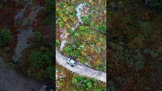 #триумф #4x4 #automobile #offroad #engineering #вездеход #вездеходы
