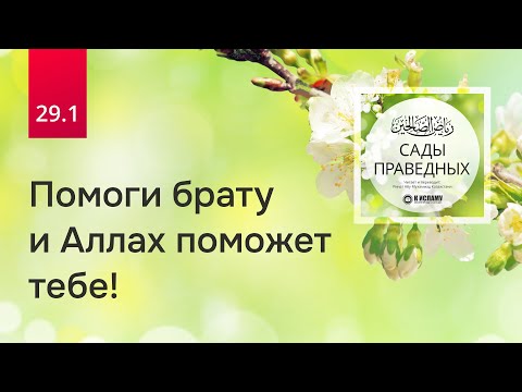 29.1 Помоги брату и Аллах поможет тебе! Хадисы 244–245 | Сады праведных