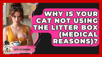 Why Is Your Cat Not Using The Litter Box (medical Reasons)? - Happy Cat Handbook