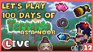 Will we finally beat this boss? Let's Play 100 Days of Terraria (as a noob)  LIVE 12