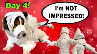 'I'm NOT Impressed!' 🐶🎅🏼🎄  A Biscuit Talky on Shelf Elf Season 6 Day 4 by Burke BunchTV 3,364 views 2 years ago 3 minutes, 39 seconds