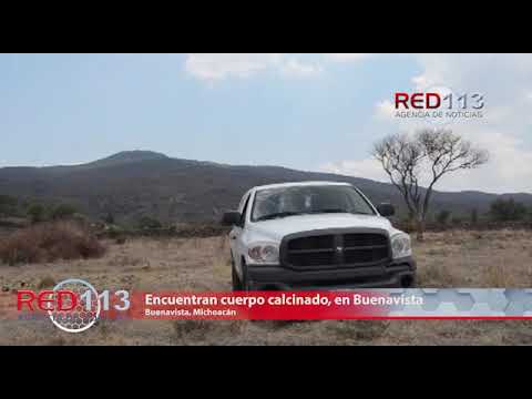 VIDEO Encuentran cuerpos calcinados